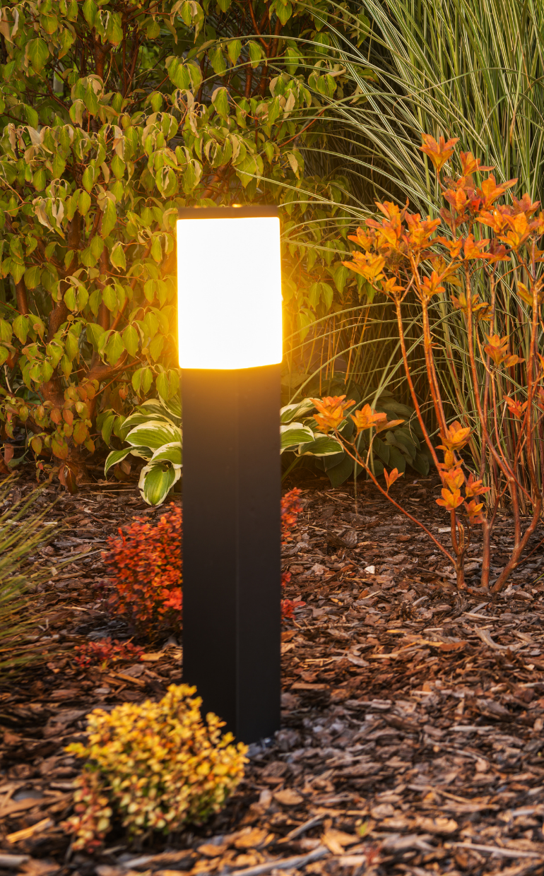 Paragraf metniniz (770 x 1240 piksel) Paragraf metniniz (770 x 1240 piksel)